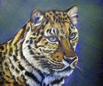 Amur Leopard Tutorial Finished by HouseofChabrier