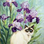 Siamese and Iris Watercolor