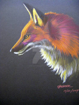 Fox in Prismacolor 1