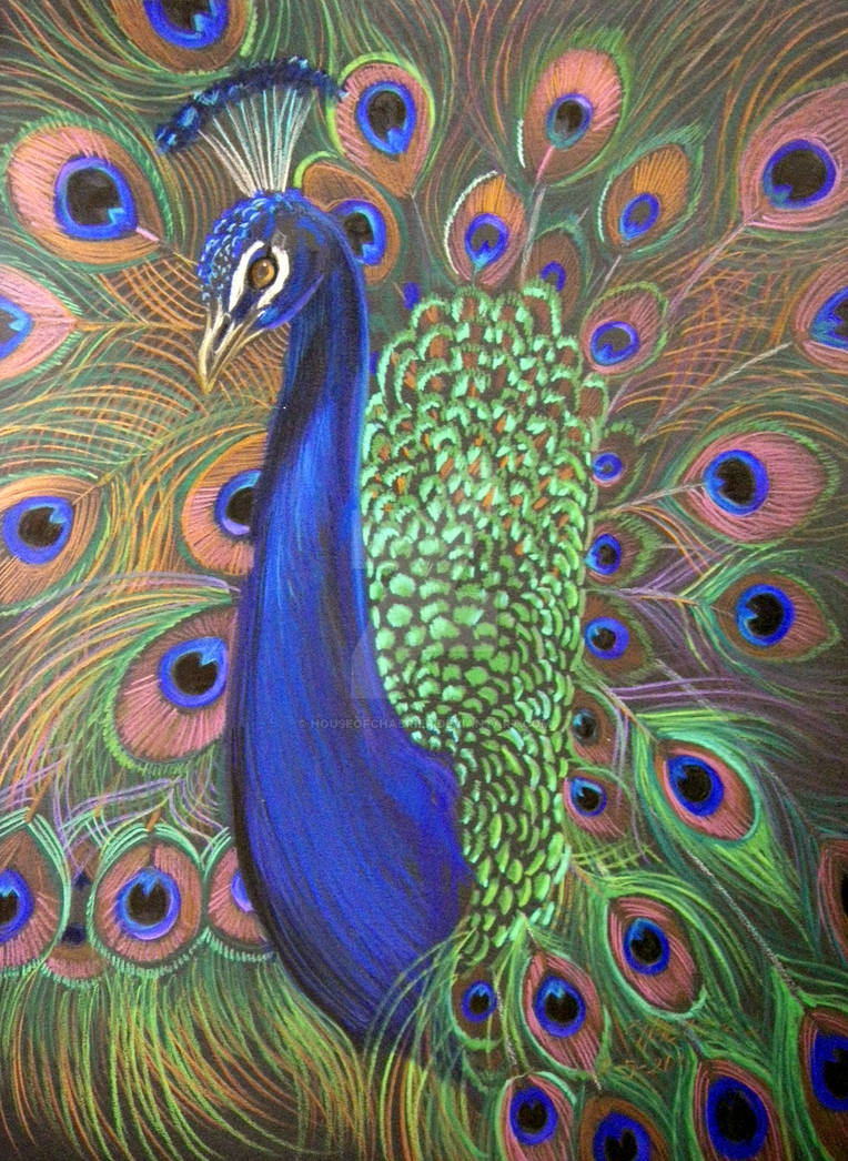 Peacock Prismacolor 2 by HouseofChabrier on DeviantArt