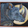 2 Horned Rhino in Acrylic