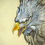 Enraged Eagle