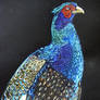 Mutant Melanistic Green Pheasant