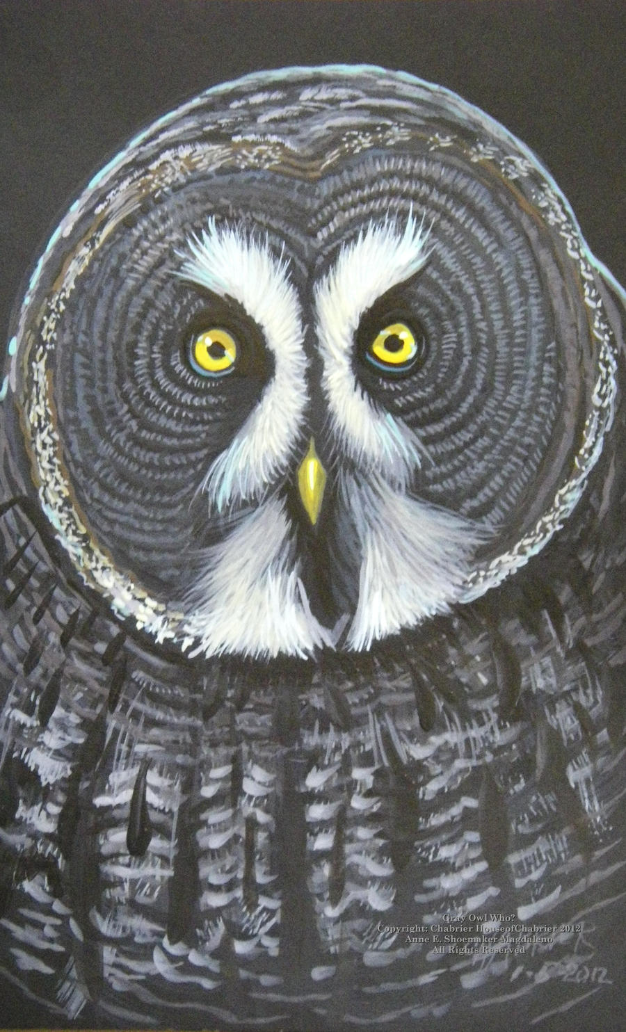 Gray Owl Who