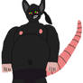 Black Rat