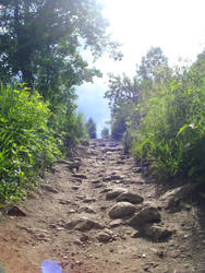 Fish Creek Trail