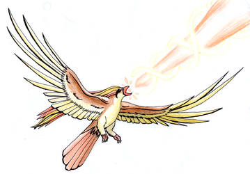 Pidgeot Hyperbeam