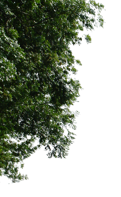 tree corner png by gd08