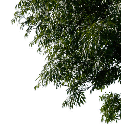 tree corner 1 png