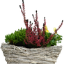 flowers basket png