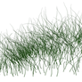 grass_02 png