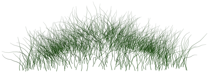 grass_02 png by gd08