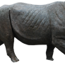 Rhino 02 By Gd08
