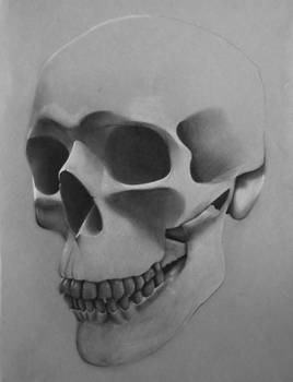 Skull n2