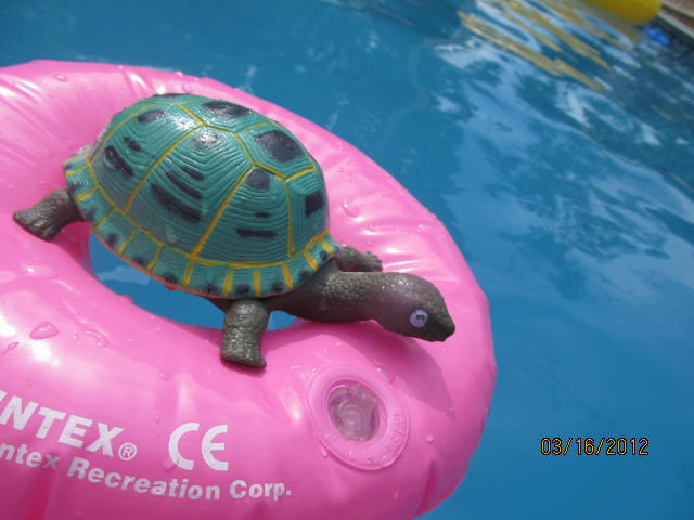 Turtle Raft by Alkry on DeviantArt