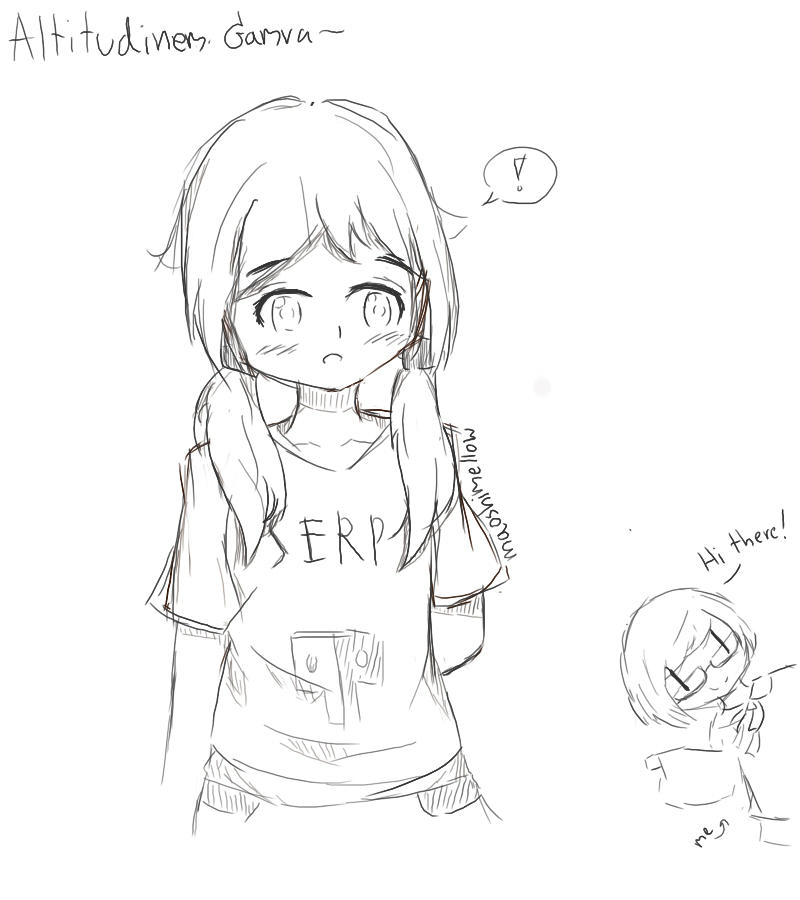 Altitudinem Gamva - A Geometry dash fanfic*fanart* by maoshimellow on ...