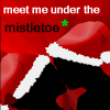 Mistletoe