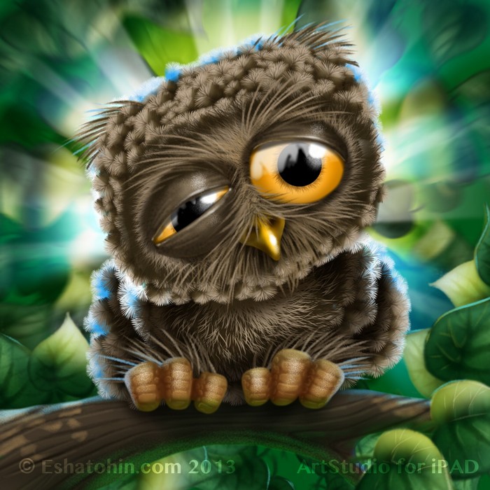 Little Owl