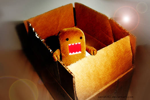 Hello Domo