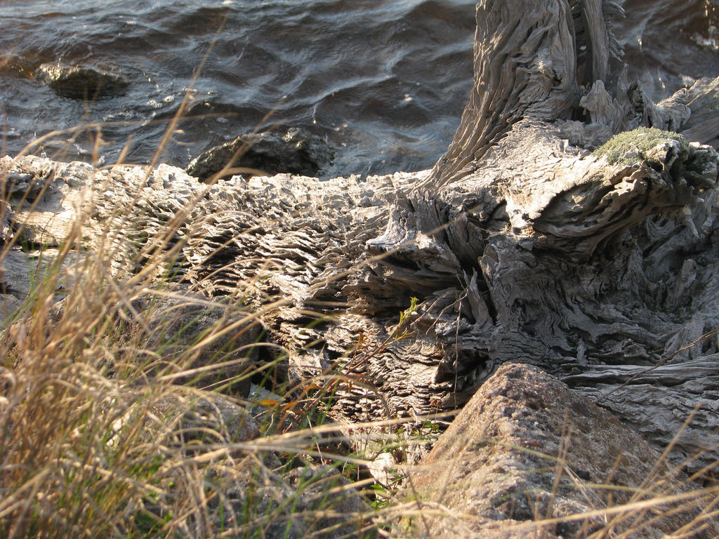 Ridges and Patterns by AcrylicHeart on DeviantArt