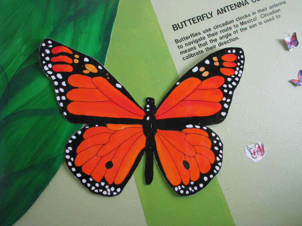Butterfly POP Art 2