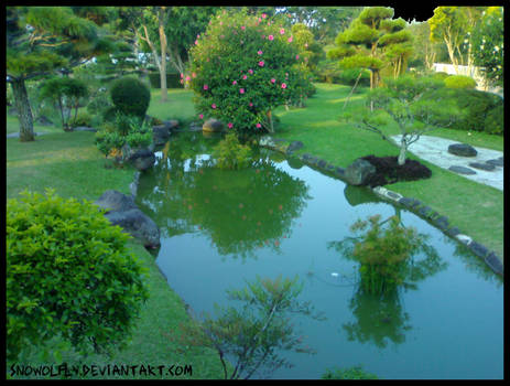 Bonsai Garden 2