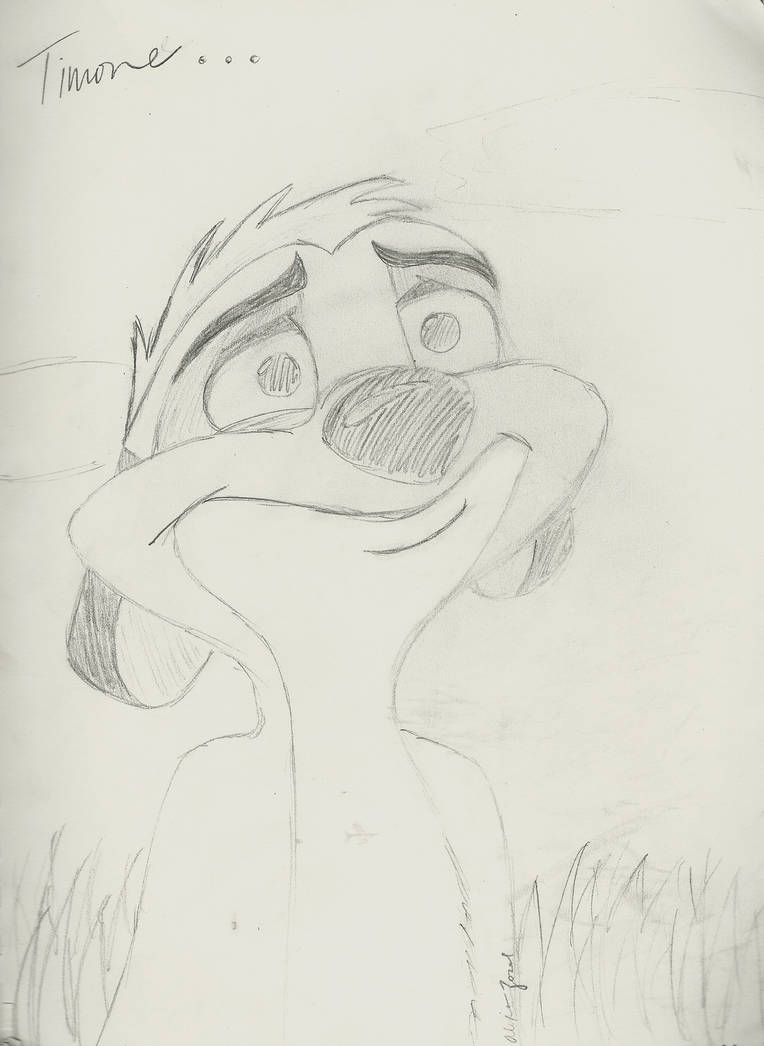 Timonee Drawing TIMONE. by freelyzosel on DeviantArt