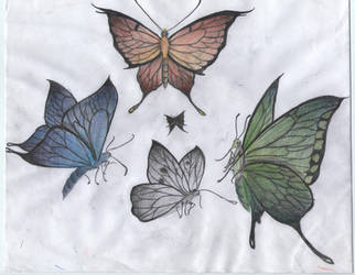 Butterflies