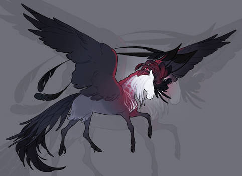 [$] scarlet condor