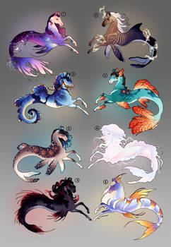 Hippocampus nymphs adopt pack SOLD