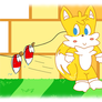 Tails drying his shoes (Gift)