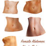 Abdomen Study