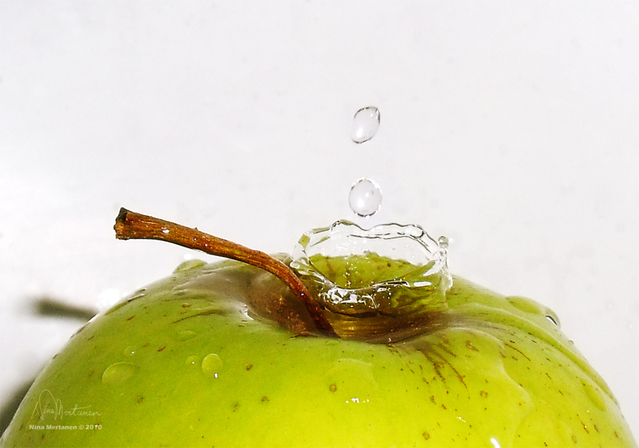 The Drop and the Apple