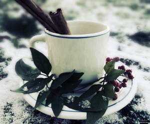 Cup of Winter