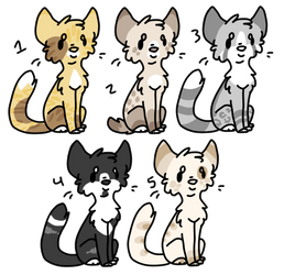 kitty adopts (open!)