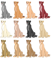 lioness adopts - all open!