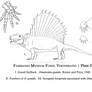 Vermont Museum Specimens | Dimetrodon grandis