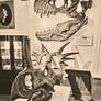Gems of the Northeast Kingdom | Fairbanks Museum