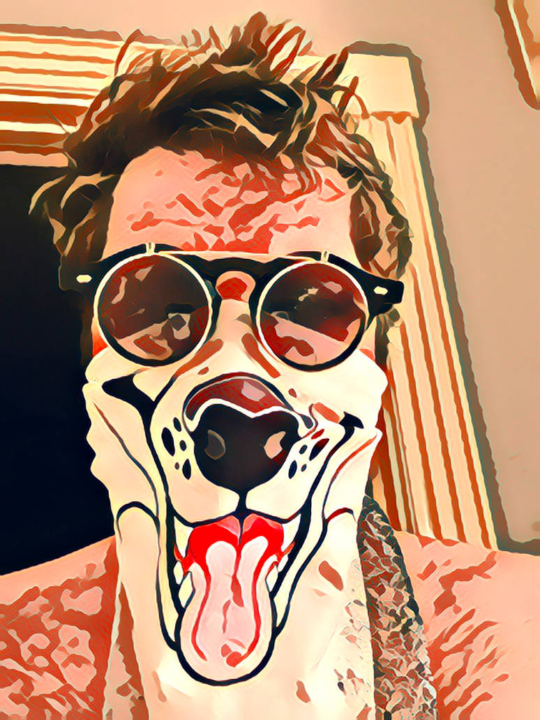 Steam fox by n0etic-f0x on DeviantArt