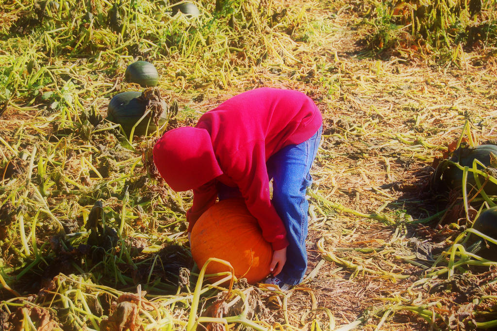 The meaning of Umph... by sylvyor on DeviantArt