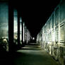 Alley of Memory
