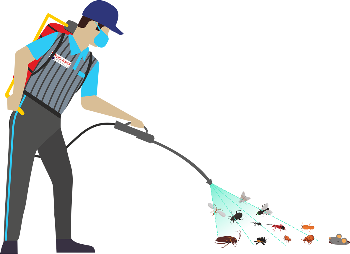 Pest Control Service In Lehi Ut