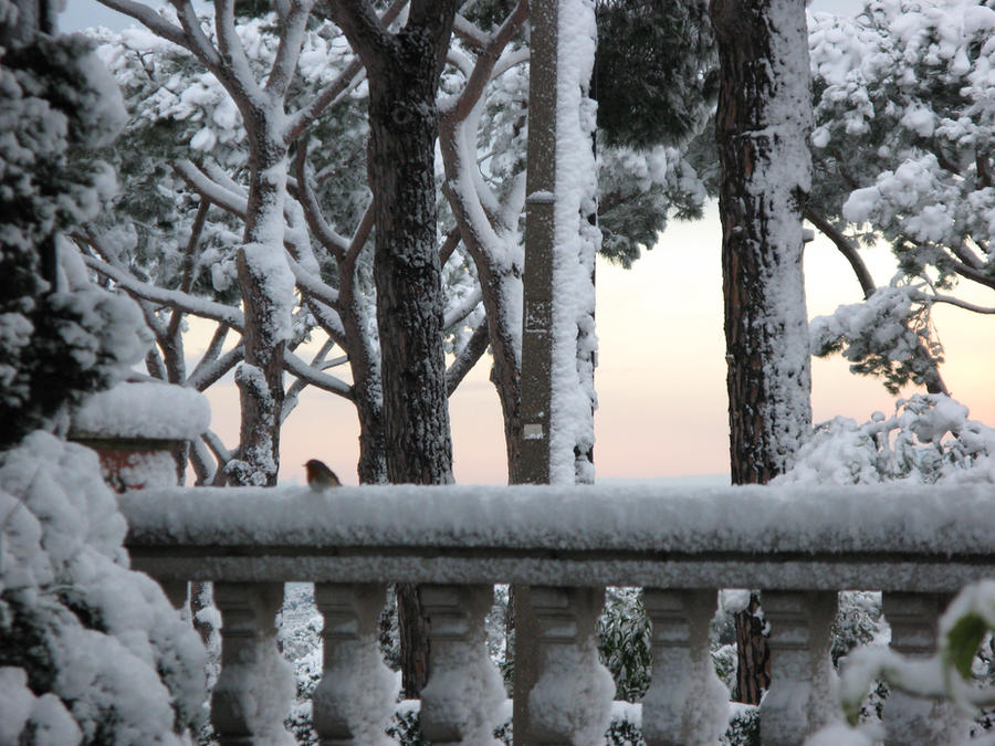 Frio Outside Frio by daviniavb on DeviantArt