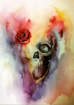 skull by Andrzej-Korytkowski