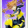 Sora Master Form