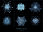 Snowflake Project by kittin0