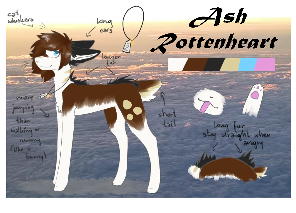 Ash Refrence Ash - Reference Sheet by AshRottenheart on DeviantArt