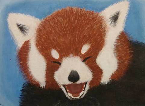 Red Panda