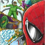 Spider-Man Variant rear cover