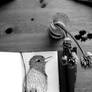 Kiwi bird (sketchbook)